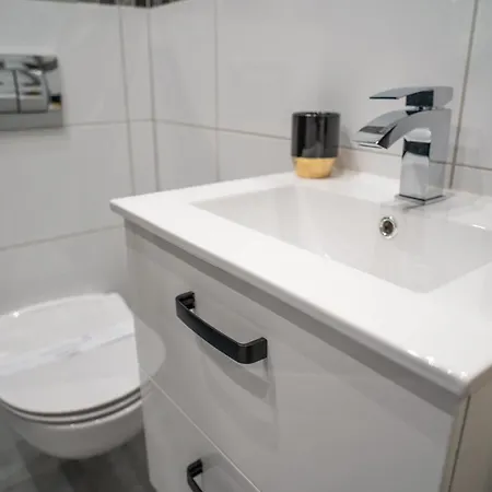 Ostoja Lesna アパート カルパッチ